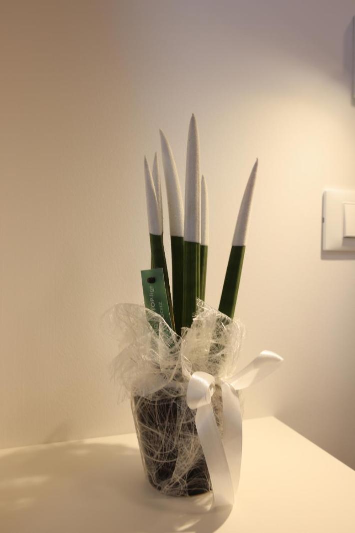 Ruffini Rooms แตร์โมลิ ภายนอก รูปภาพ
