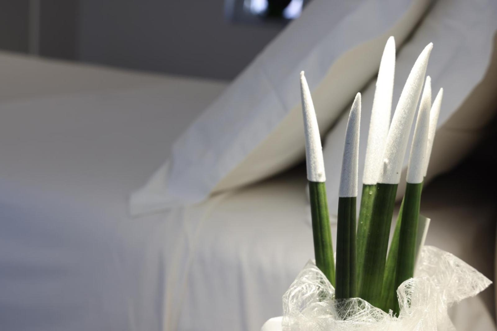 Ruffini Rooms แตร์โมลิ ภายนอก รูปภาพ